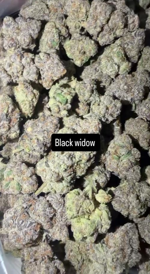Black Widow video poster